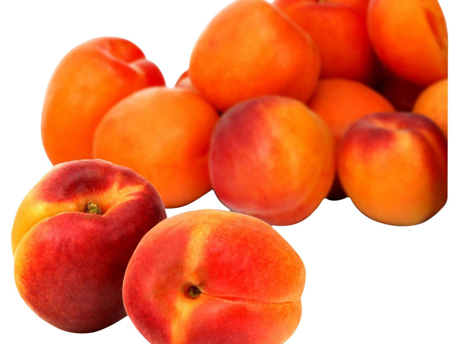 Pruneaux